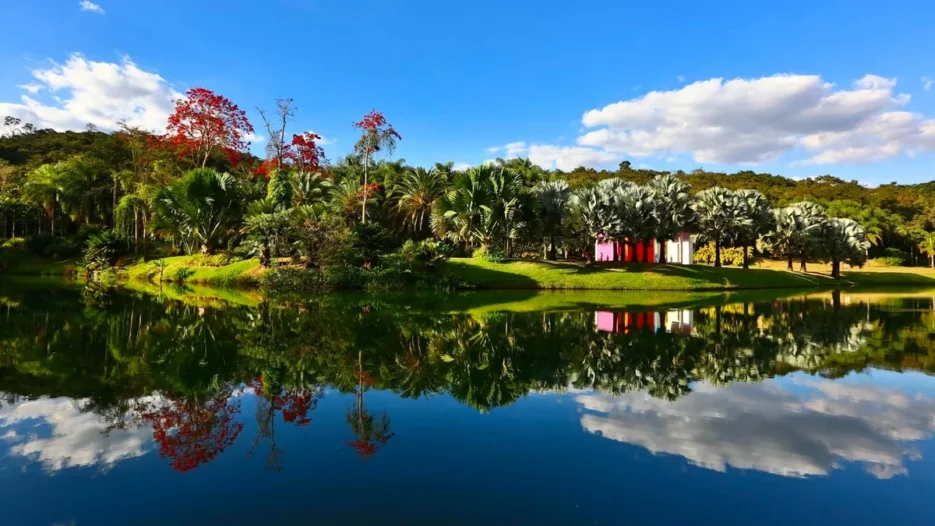 Lago do Jardim Botânico Inhotim refletindo palmeiras, árvores tropicais e uma instalação artística colorida em Brumadinho, Minas Gerais.