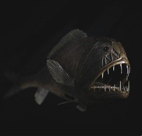 Peixes de profundezas são responsáveis pela retirada e armazenamento de CO² dos mares #PdL