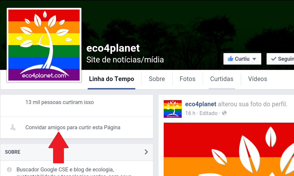 No Dia Mundial do Meio Ambiente, compartilhe o eco4planet com os amigos!