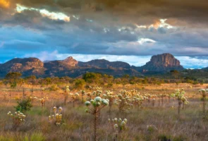 Paisagem de Cerrado com vegetação campestre, flores silvestres, formações rochosas e céu nublado ao entardecer.