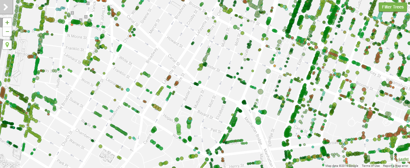 Nova York: a cidade que mapeou todas as suas árvores