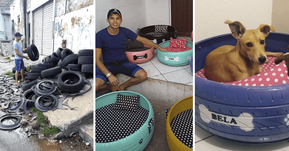 Jovem paraibano faz sucesso transformando pneus velhos em caminhas para animais