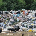 Nordeste ainda destina 88,6% do seu lixo de forma irregular