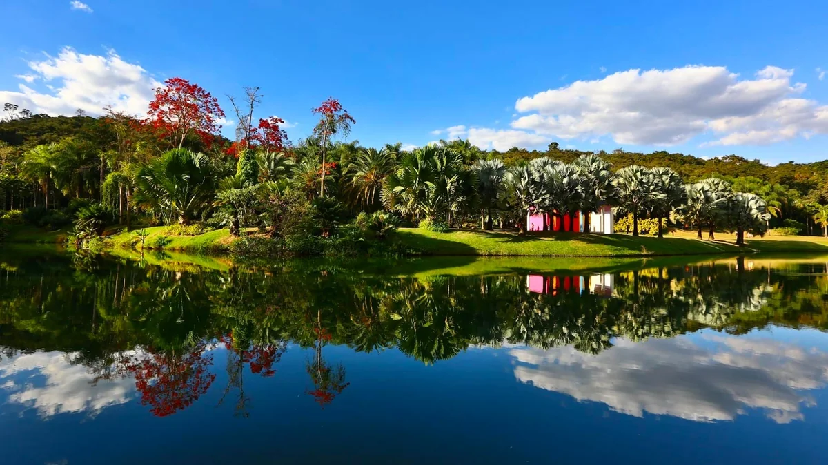 Lago do Instituto Inhotim refletindo palmeiras, jardins tropicais, árvores floridas e uma instalação artística colorida em Brumadinho.