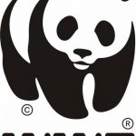 WWF quer conscientizar brasileiros