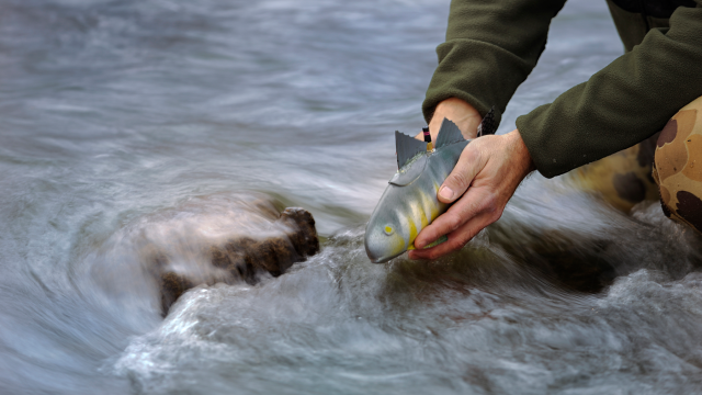 Peixe-robô pode nadar quase eternamente coletando informações [Gizmodo]