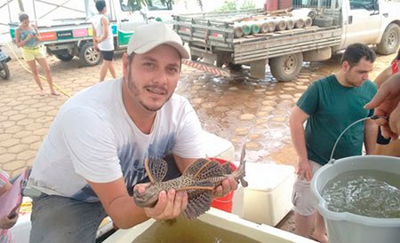 Pescadores já salvaram 6 mil peixes do desastre em Mariana