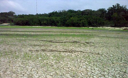 Efeitos das secas na Amazônia são duradouros e podem ser permanentes [EcoD]