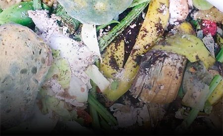 Brasil está entre os dez países que mais desperdiçam comida no mundo